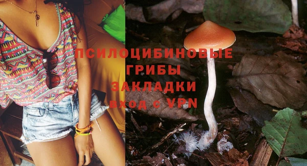 не бодяженный Алзамай