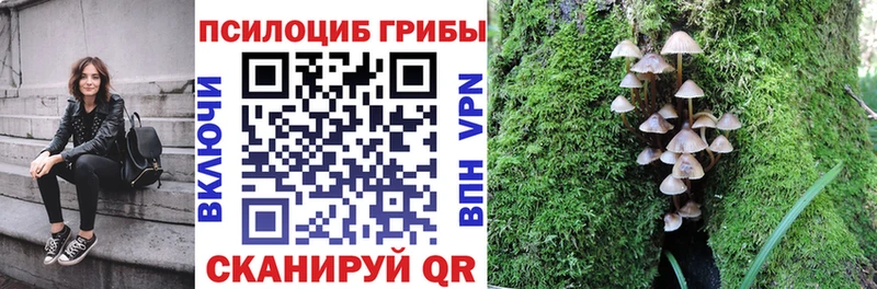 сколько стоит  Клин  Галлюциногенные грибы мухоморы 