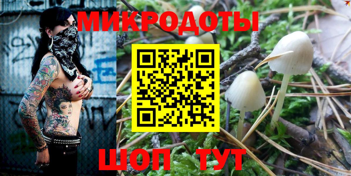 Псилоцибиновые грибы Psilocybe  как найти закладки  Клин  Вход с VPN 